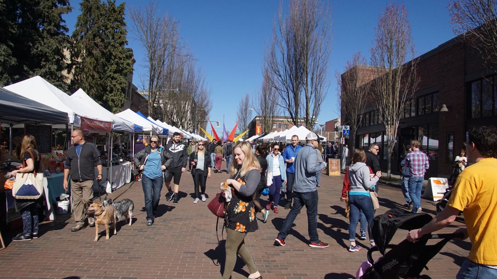 Festivals & Competitions